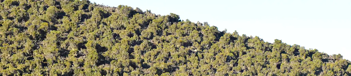 Kilimanjaro Marangu Route 