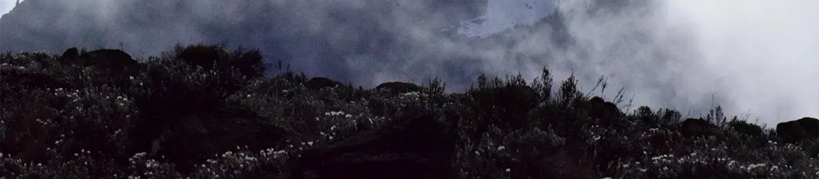 Kilimanjaro Marangu Route 
