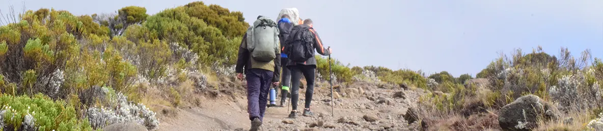 Kilimanjaro Marangu Route 