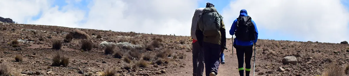 Kilimanjaro Marangu Route 