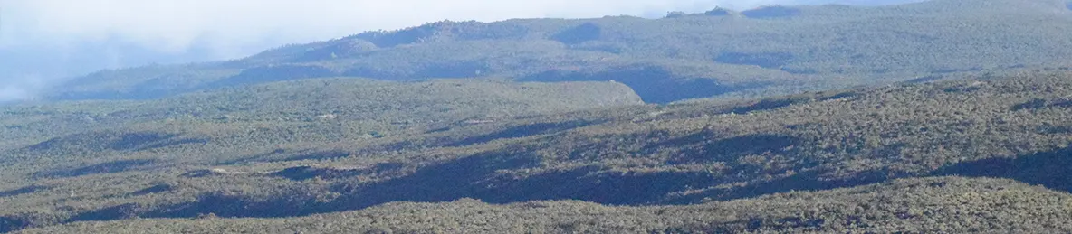 Kilimanjaro Marangu Route 