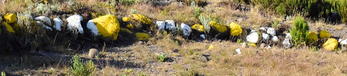 Kilimanjaro Marangu Route 