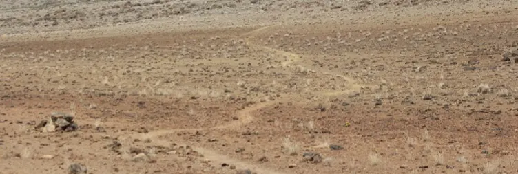 Horombo Hut to Mandara Hut - Marangu Gate - Back to Moshi/Arusha 