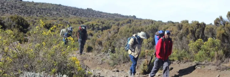 Climbing from Horombo Hut to Kibo Hut 