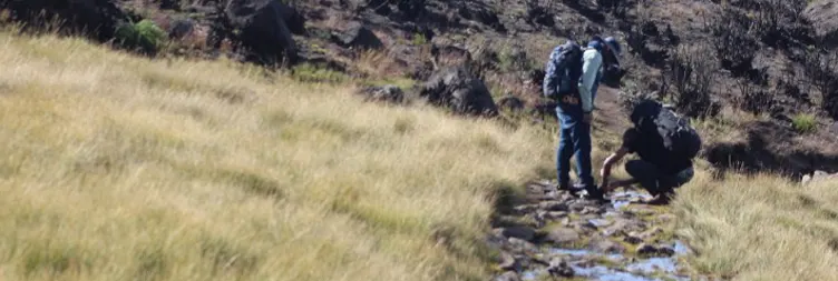 Horombo Hut to Kibo Hut 