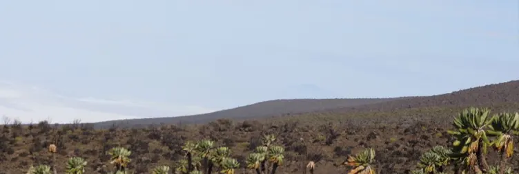 Horombo Hut Kibo Hut 