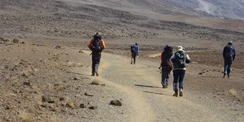 5 Days Epic Expedition Marangu Route Kilimanjaro Trekking Escape