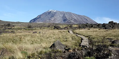 cover-5 Days Express Kilimanjaro Hiking Triumph on Marangu