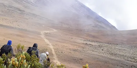5 Days Kilimanjaro Adventure Marangu Route Trekking 