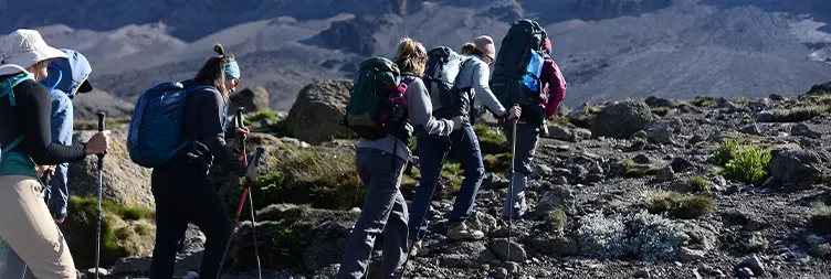  Karanga Camp Barafu Camp 