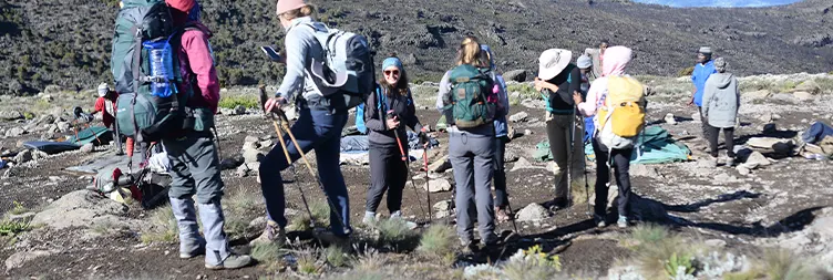 Karanga Camp to Barafu Camp (15,331 ft). 