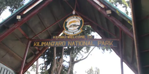 6 Days Rongai Majesty Kilimanjaro Hiking Tour Summit 