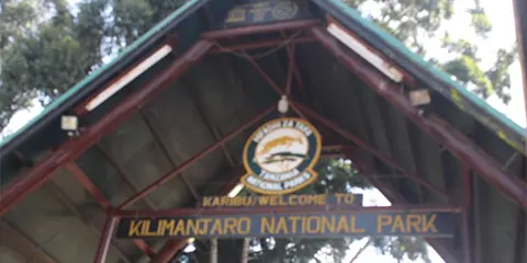 7 Days Rongai Legacy Kilimanjaro Hiking Tour Summit Quest