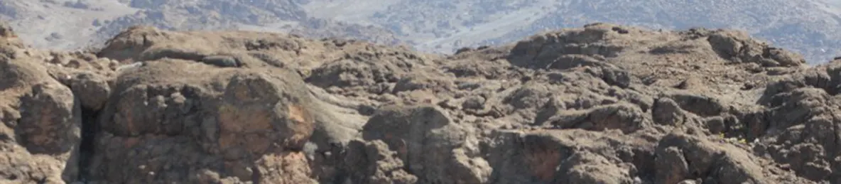 Kilimanjaro Marangu route, Rongai Route