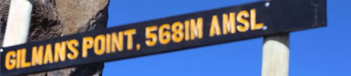 Kilimanjaro Marangu route, Rongai Route