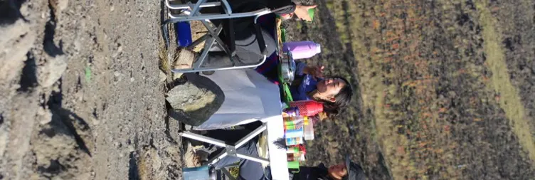 Kibo Hut to Uhuru Peak - Back to Horombo Hut 