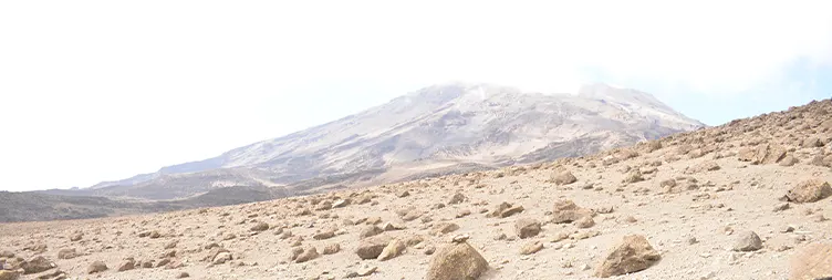KIKELEWA CAVE [3679M] TO MAWENZI TARN CAMP [4303M]