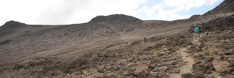 Kikelewa Camp to Mawenzi Tarn Camp