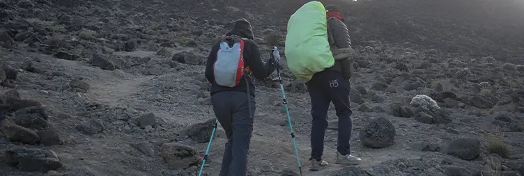 Kikelewa Camp climb to Mawenzi Tarn 