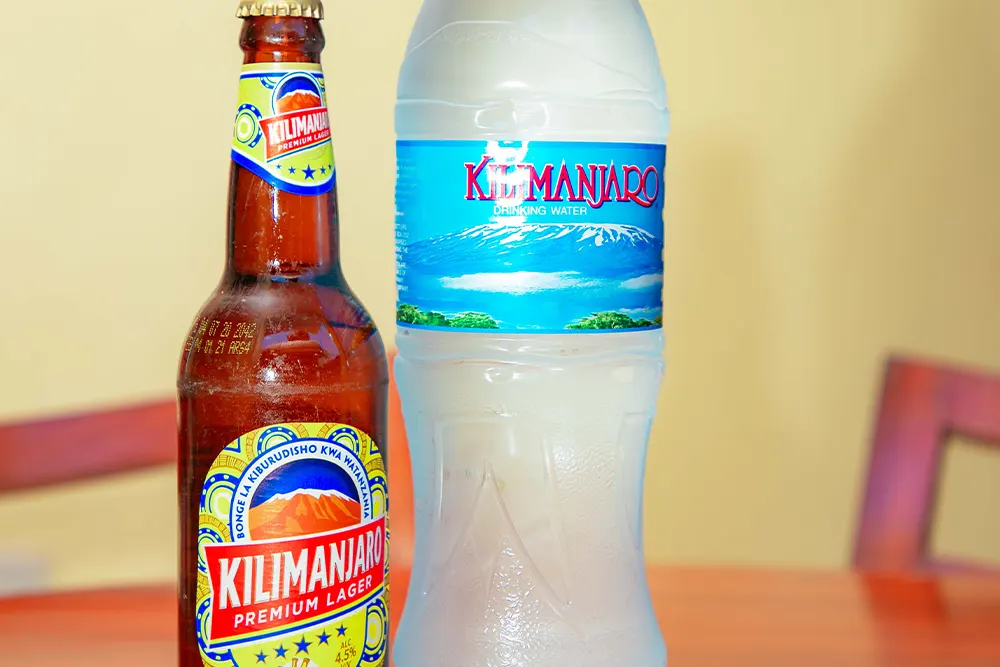 Kilimanjaro White House Hotel