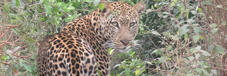 Arusha to Lake Manyara