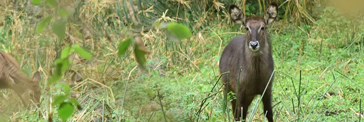 Arusha to Lake Manyara