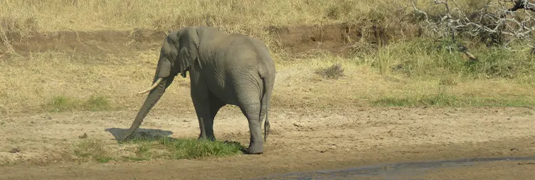 Arusha to Lake Manyara