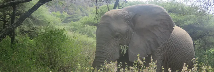 Lake Manyara