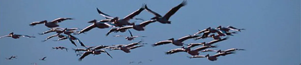 Lake Manyara National Park