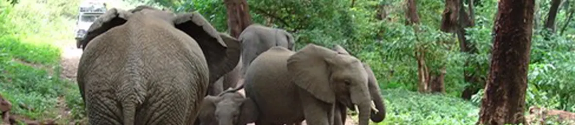 Lake Manyara National Park