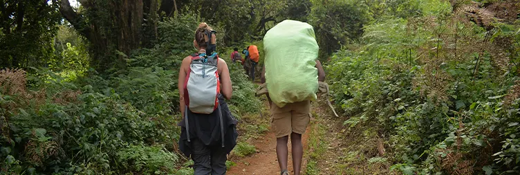 Moshi to Big Tree Camp