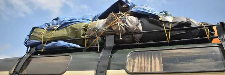 Moshi to Londorossi gate to Big Tree Camp 