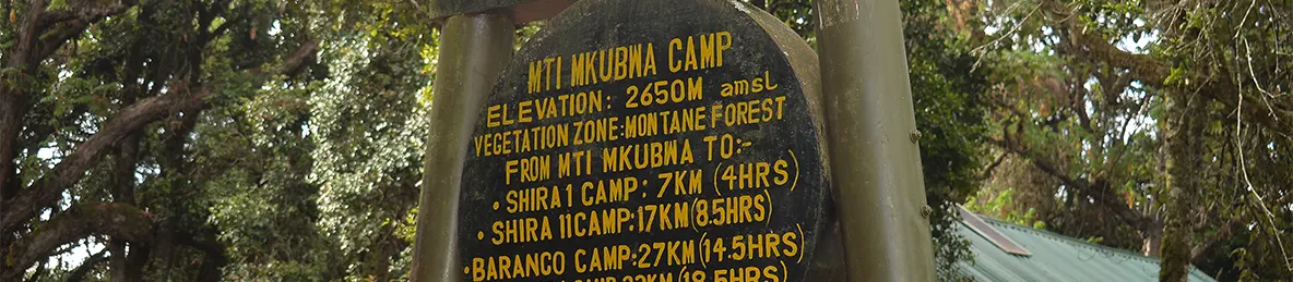 Kilimanjaro Lemosho Route, Northern Circuit Route