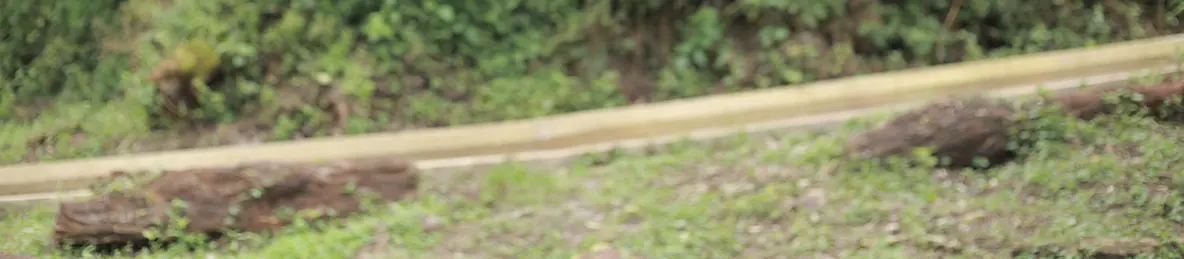 Kilimanjaro Lemosho Route, Northern Circuit Route