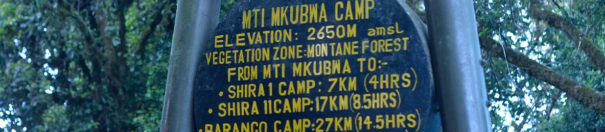 Kilimanjaro Lemosho Route, Northern Circuit Route