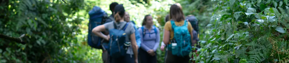 Kilimanjaro Lemosho Route, Northern Circuit Route