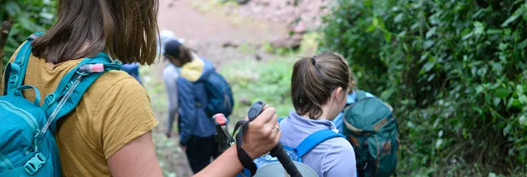 Moshi to Londorossi Gate and Climb to Mti Mkubwa Camp: