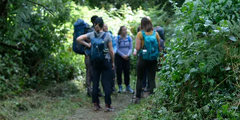 7 Days Epic Escapade Via Lemosho Route Kilimanjaro Trekking Odyssey