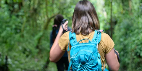 8 Days Climbing High Mt Kilimanjaro via Lemosho Route