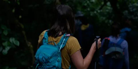 8 Days Unforgettable Kilimanjaro Hike on Lemosho Route