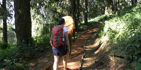 8 Days Kilimanjaro Kaleidoscope Lemosho Route Hiking