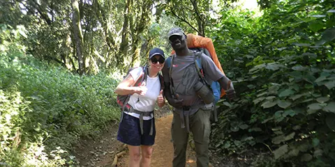 8 Days Kilimanjaro Summit Pursuit Lemosho Route Trekking Challenge