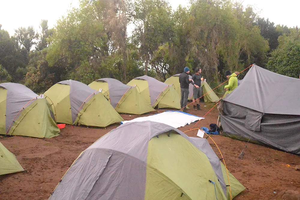 Machame Campsite