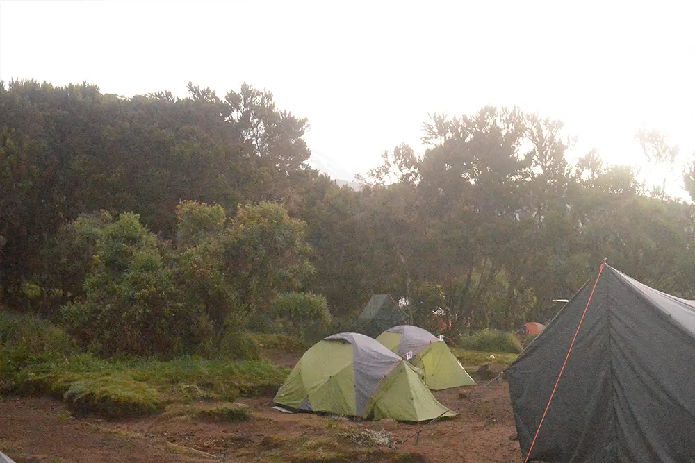 Machame Campsite