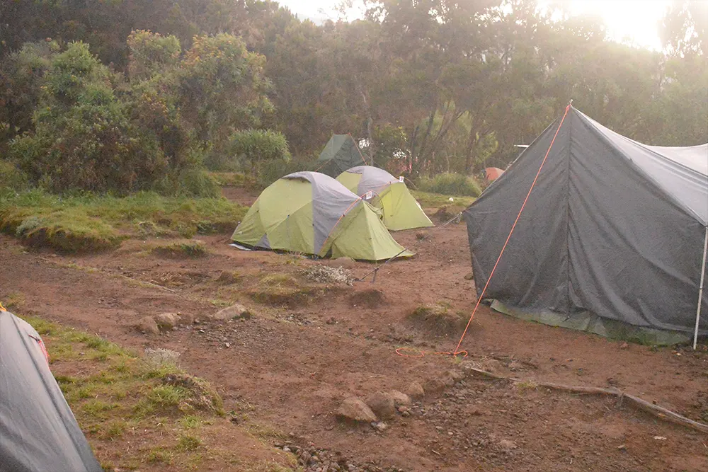 Machame Campsite