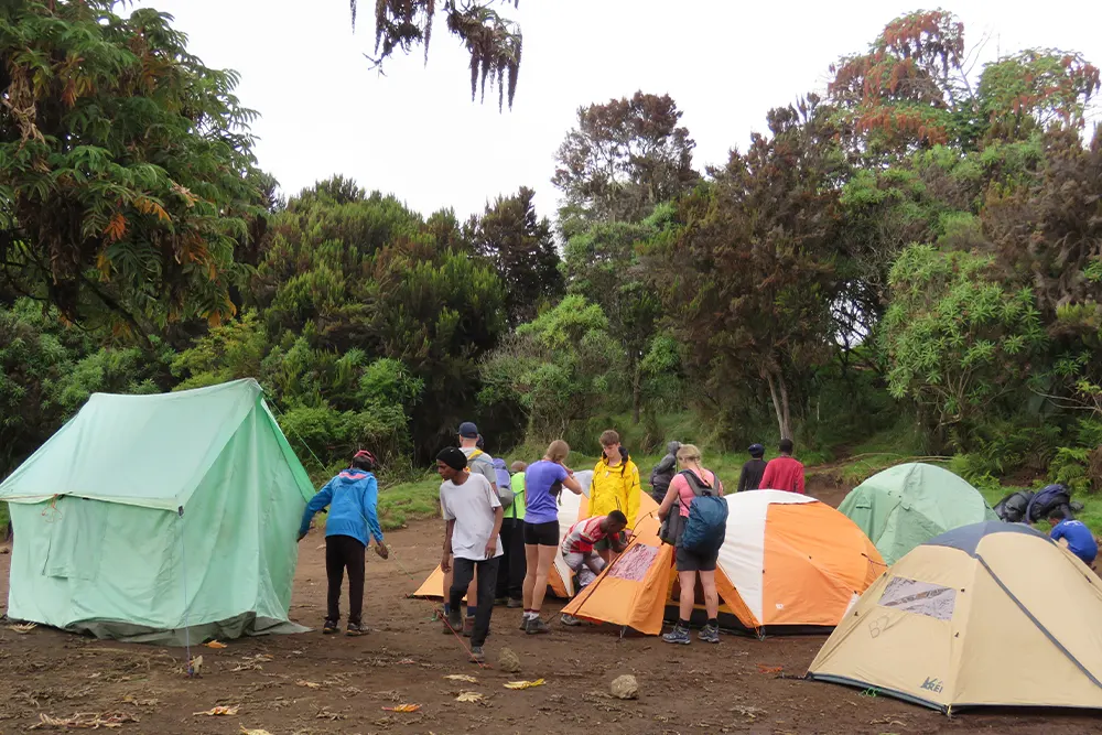Machame Campsite
