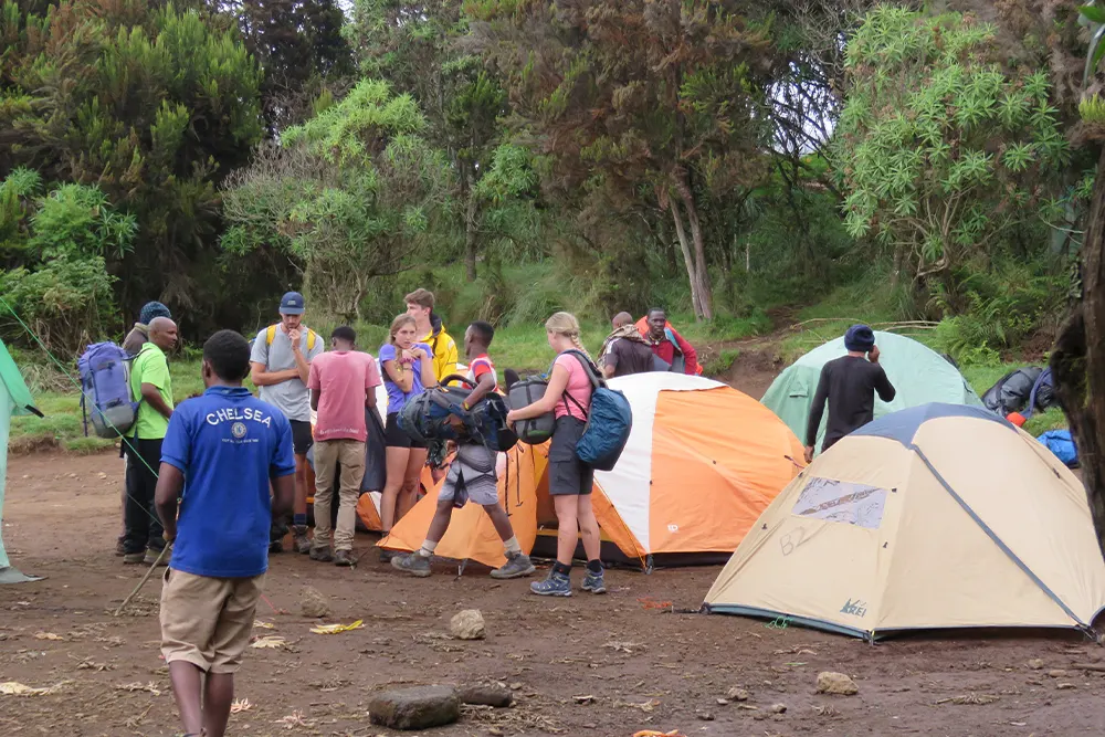 Machame Campsite