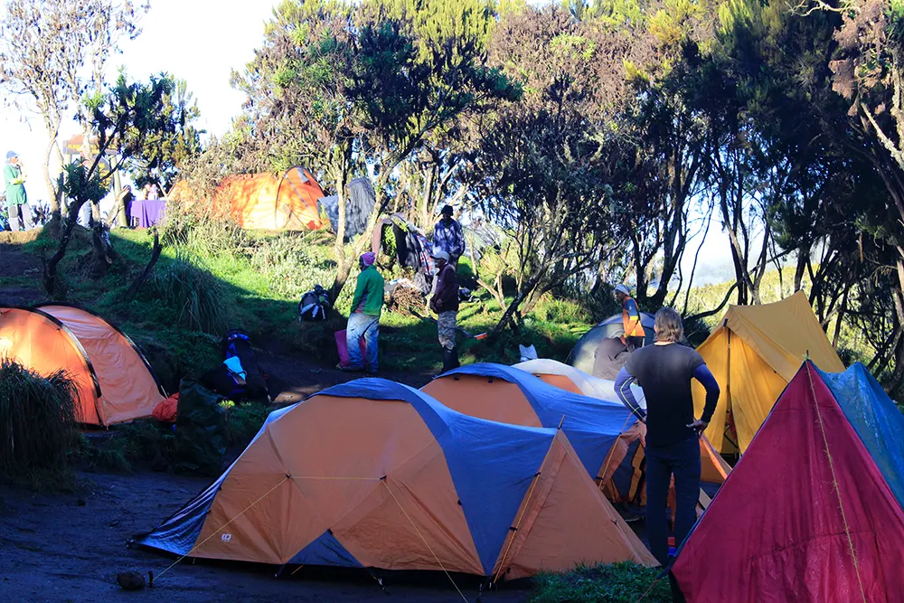 Machame Campsite