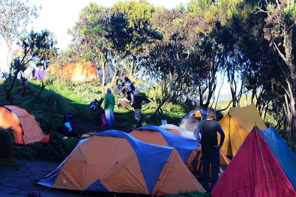 Machame Campsite