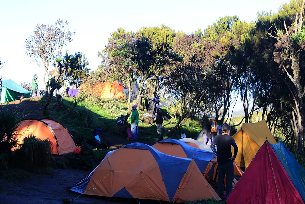 Machame Campsite